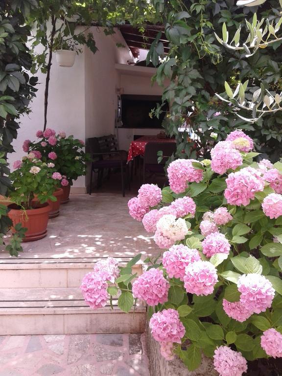 Zvonimir Appartement Slatine